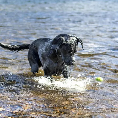 2 Bed In Cockermouth Oc-sz431