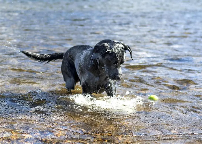 2 Bed In Cockermouth Oc-sz431